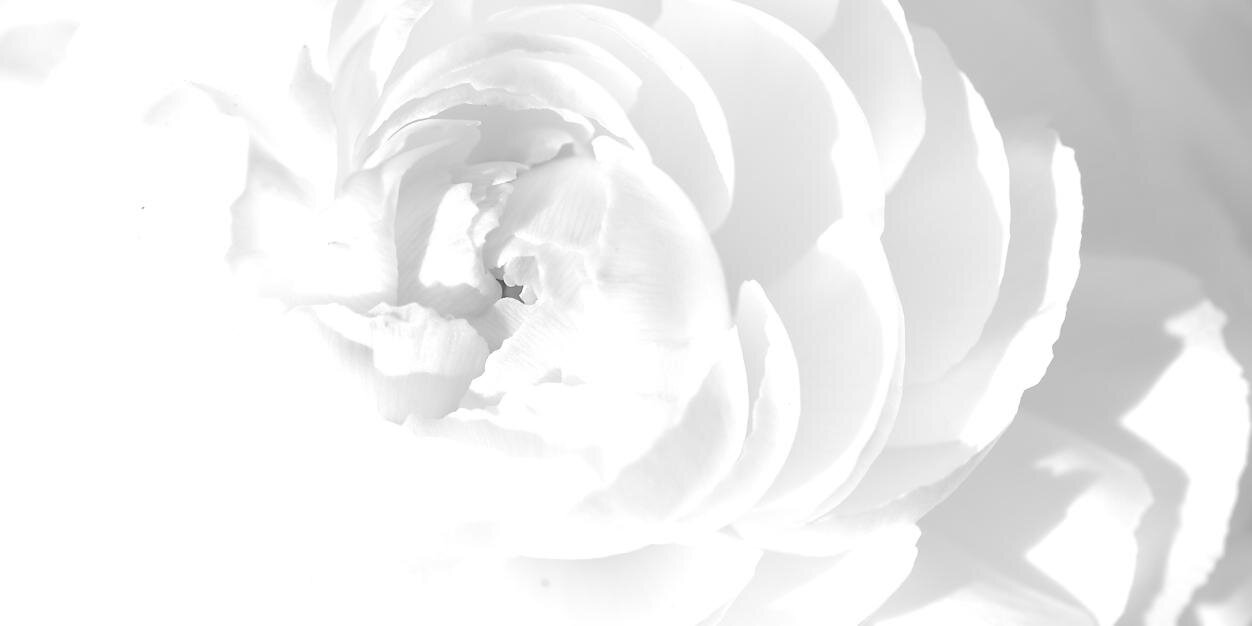 _gbenga_'s profile banner image