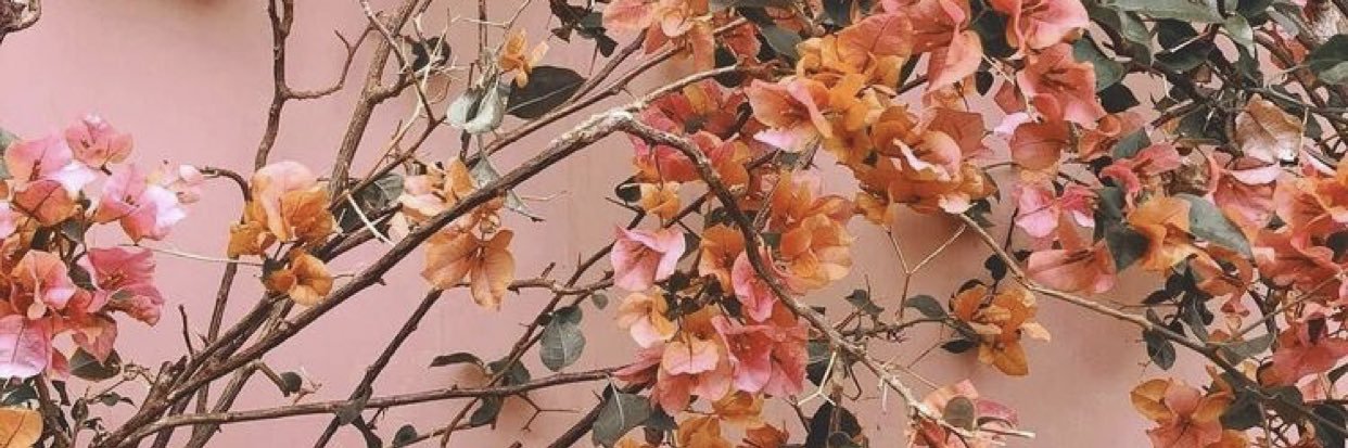 Cheech_52's profile banner image
