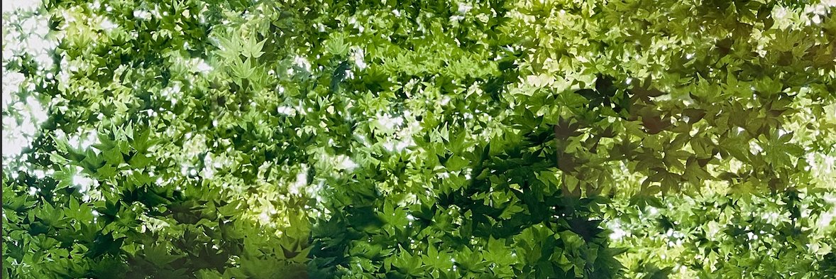 NoahCraft37's profile banner image