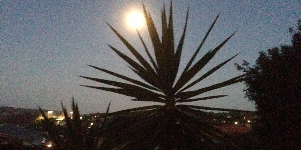 Jenny Caspersonn banner