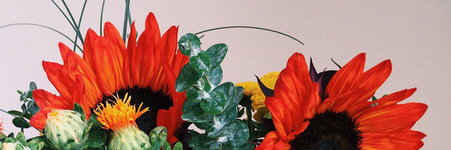 meghanwinans's profile banner image