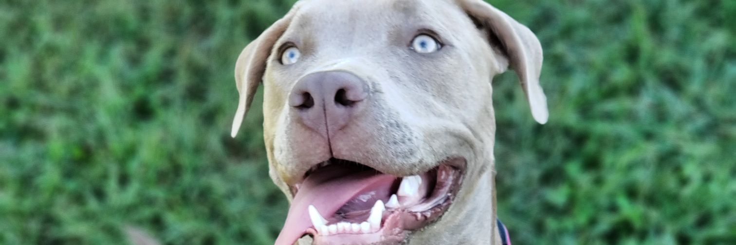xlxaxelxlx#8236 banner