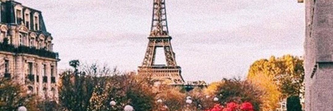 MirkoKuchta's profile banner image