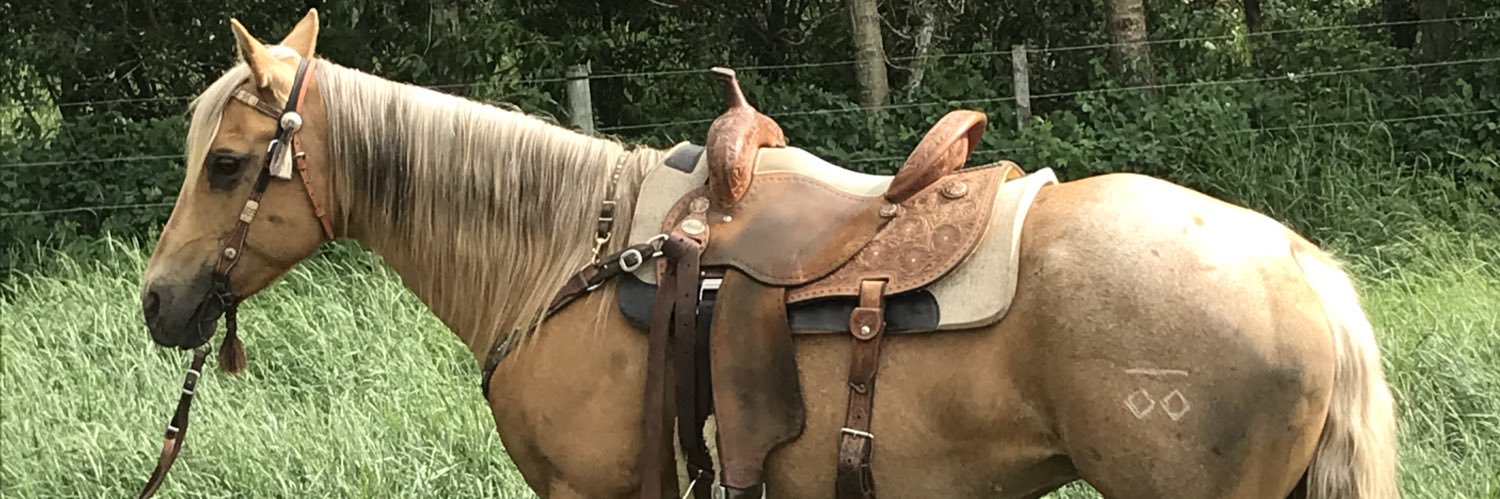 LesleyPohl's profile banner image