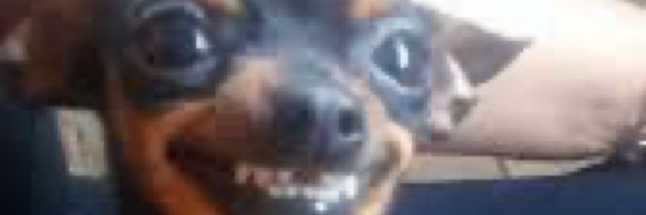 home depot fan account banner