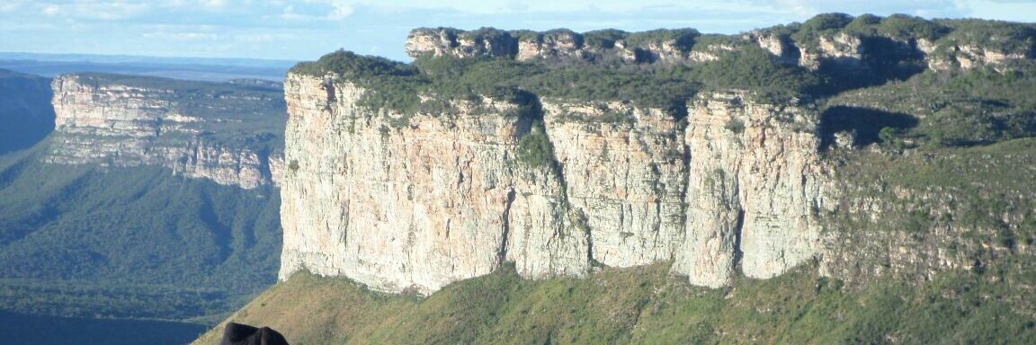GeorgeBarreto7's profile banner image