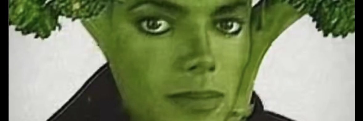 missesnash's profile banner image