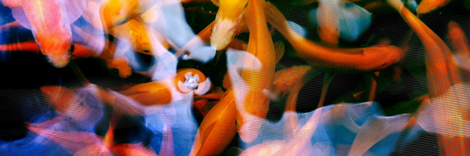 pwigcreative's profile banner image