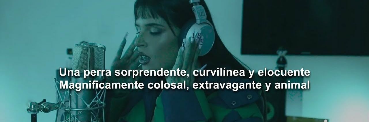 Ruidoblanco__'s profile banner image