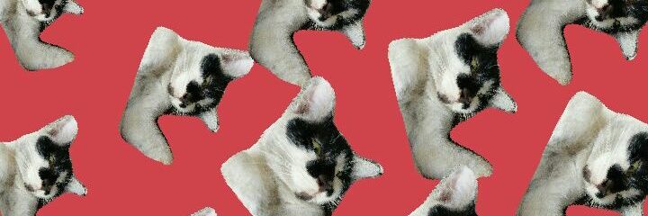 ciputthedumb's profile banner image
