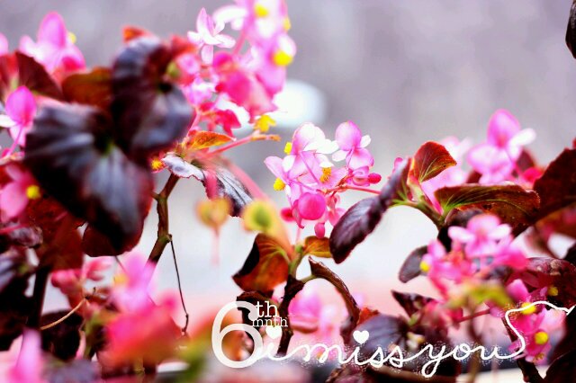 radenayularas's profile banner image