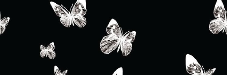 whitneyS_'s profile banner image