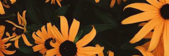 majoramirezp's profile banner image