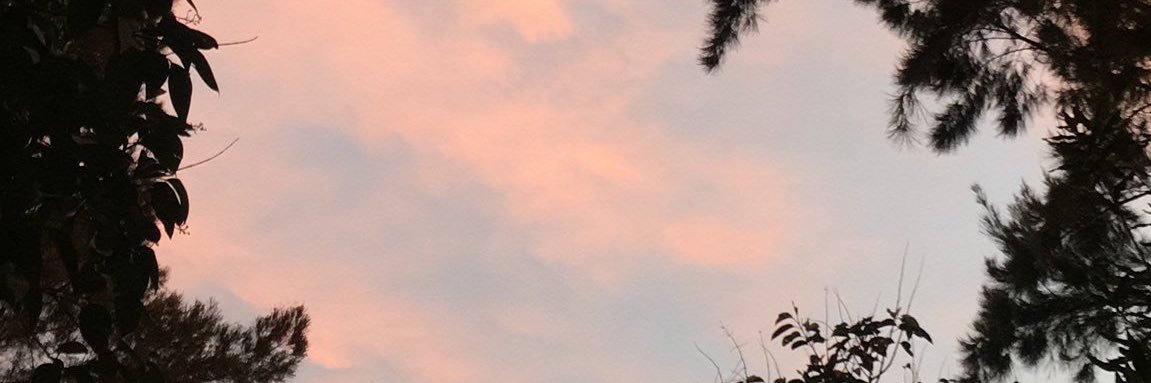 PerlaGt76's profile banner image