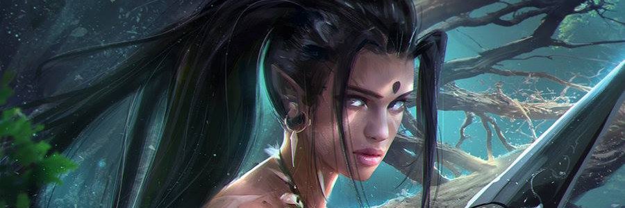 Gustavo banner