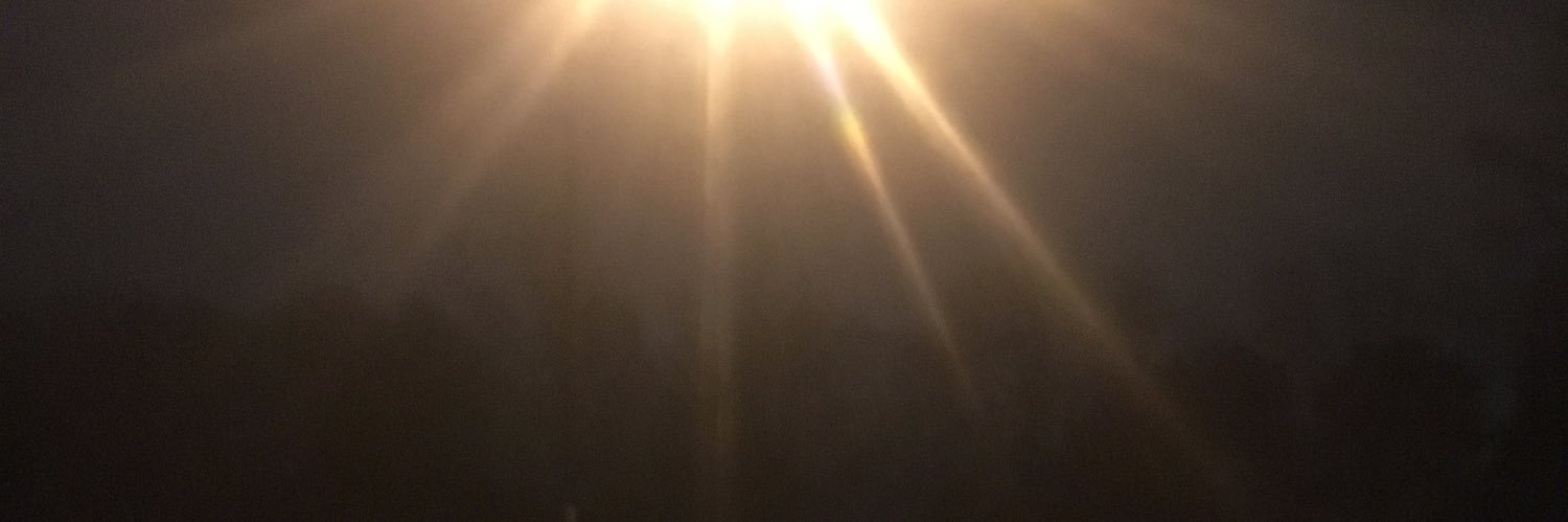 BoiJester's profile banner image