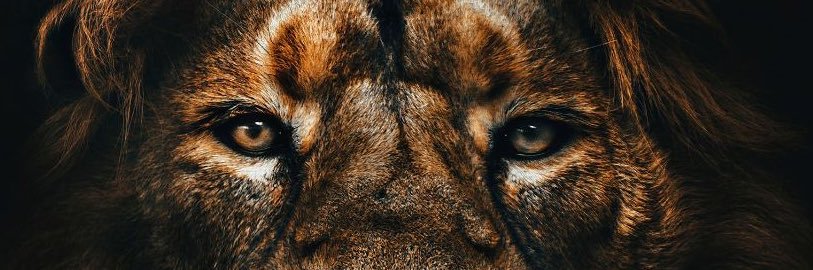 jayj_14's profile banner image
