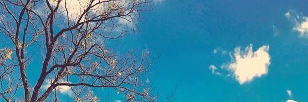 AnaLauMontejo's profile banner image