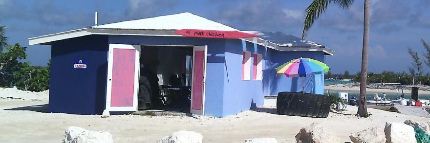 da Pink Chicken banner