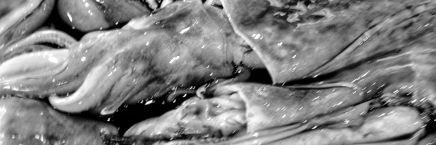 tomasleonor30's profile banner image