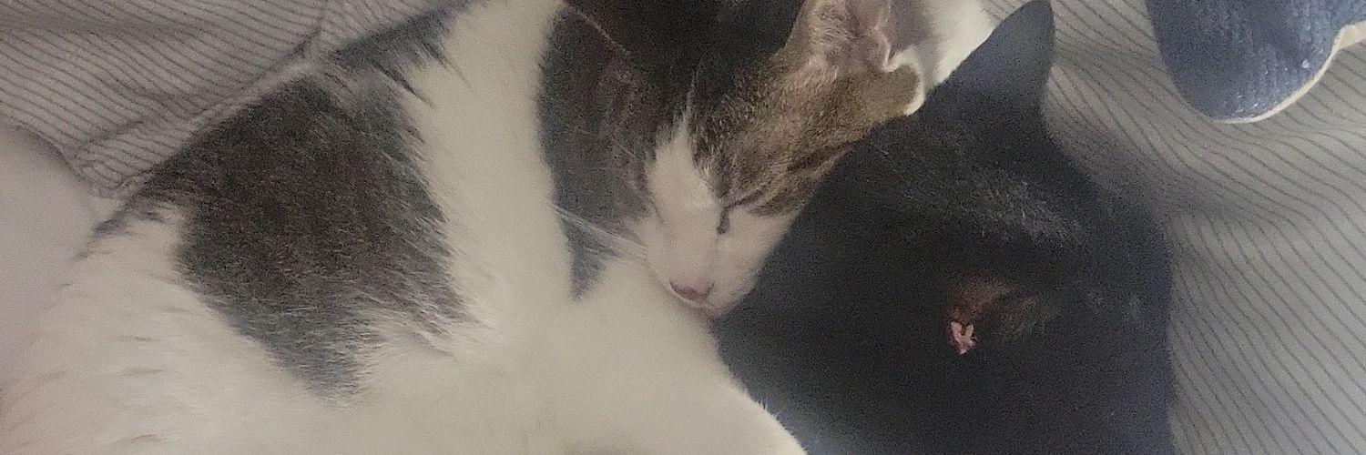 DebbieRoweEsq's profile banner image