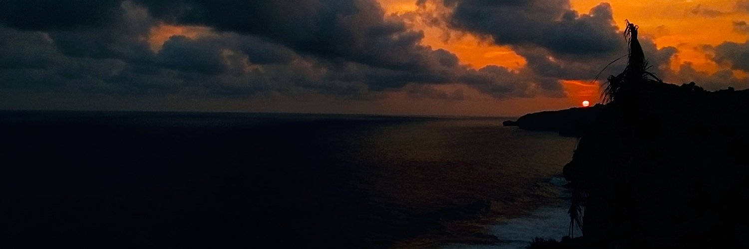 idnoree's profile banner image