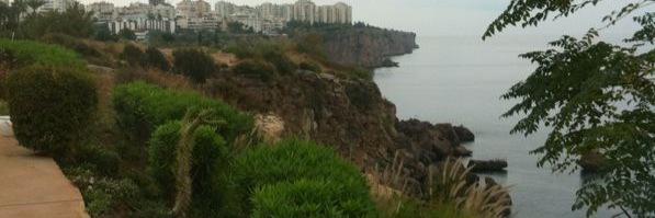 AliShara7eely's profile banner image