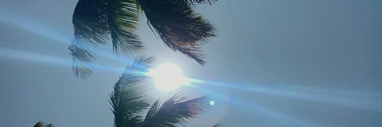 alexmillan's profile banner image