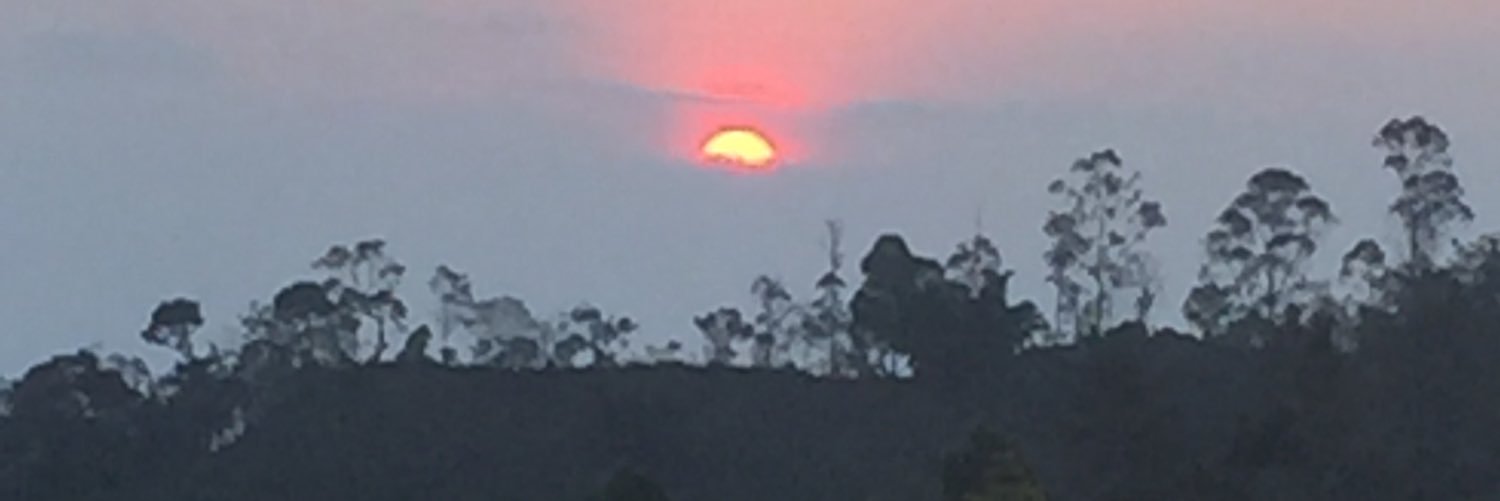 Miguel Murillo banner