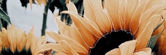 MarielaGa13's profile banner image