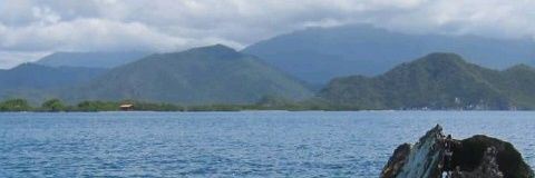 rafaelrivolta's profile banner image