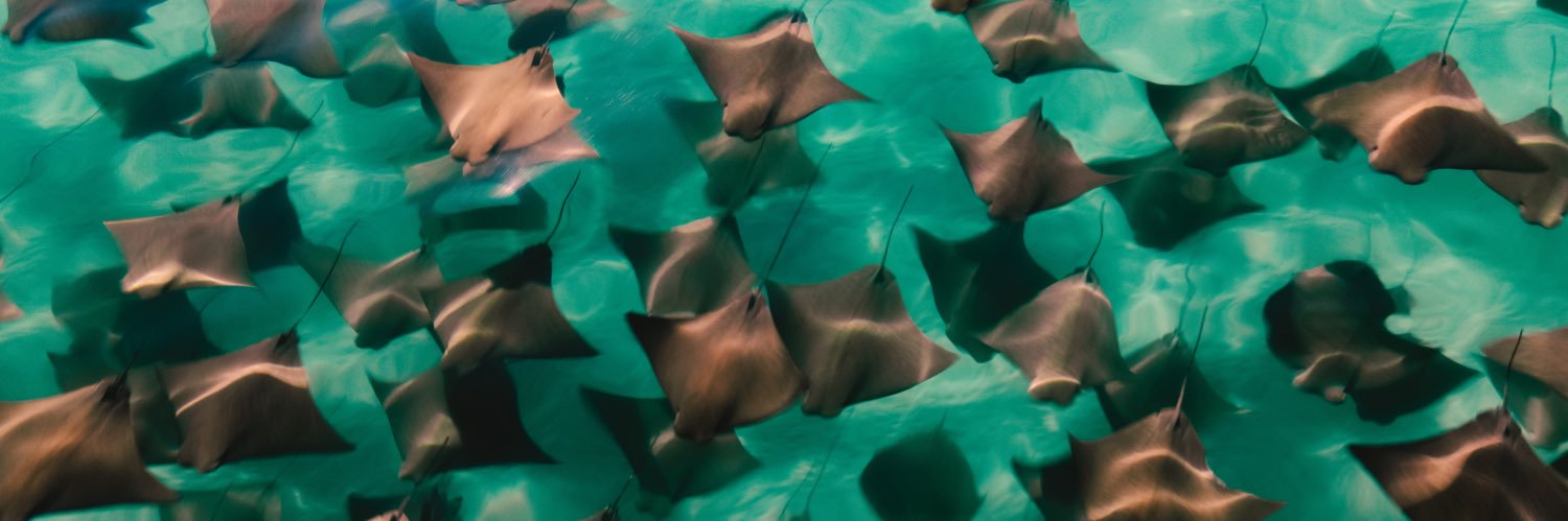 amberfletcherym's profile banner image