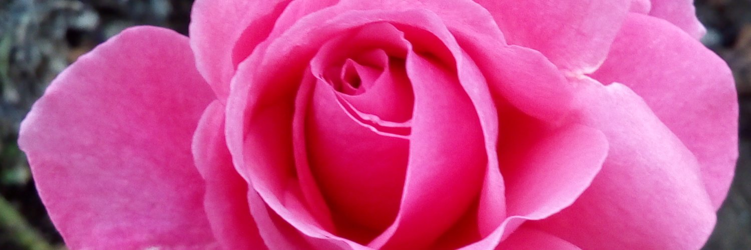 sskmk's profile banner image