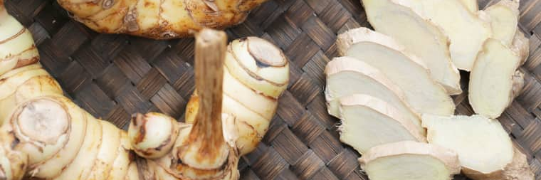 ขิงขิง ข่าข่า banner