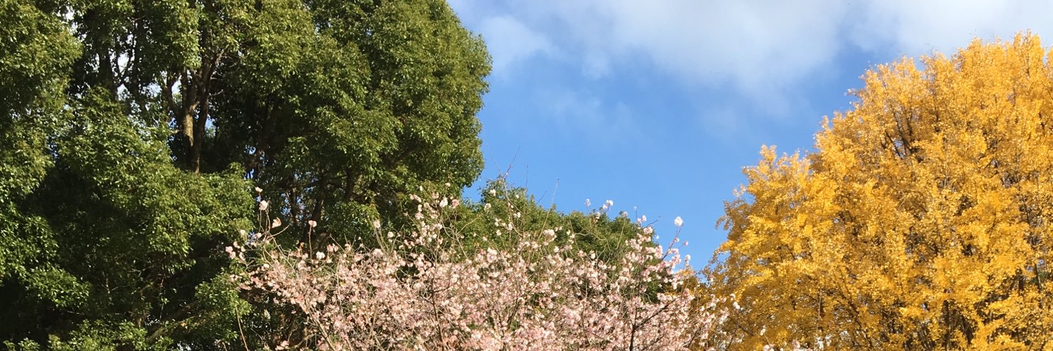Ash__Phillips's profile banner image