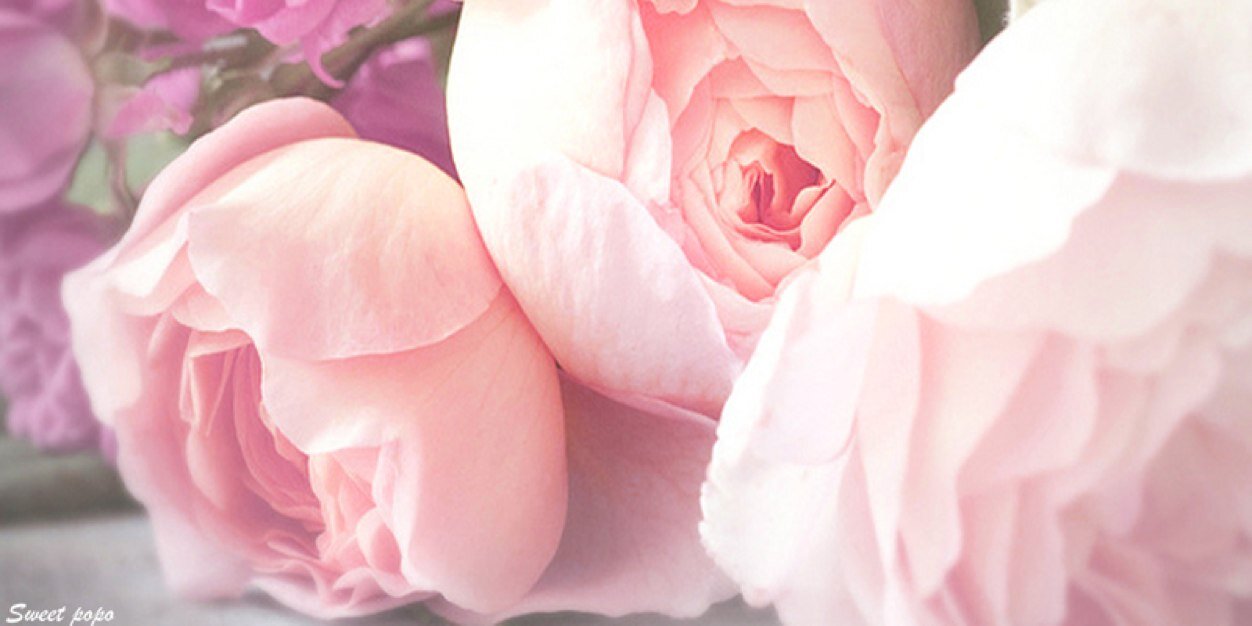 RN_doaa's profile banner image
