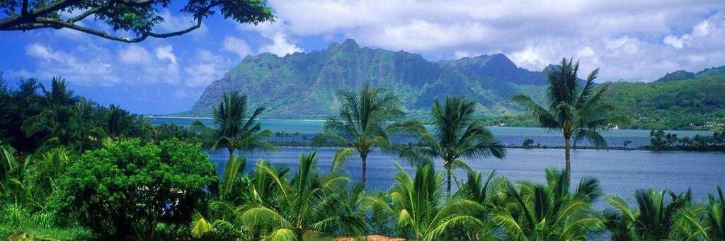 Désiré Assogbavi banner