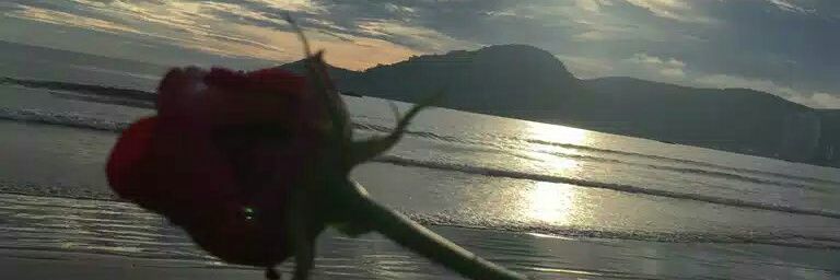 tatyPsico's profile banner image