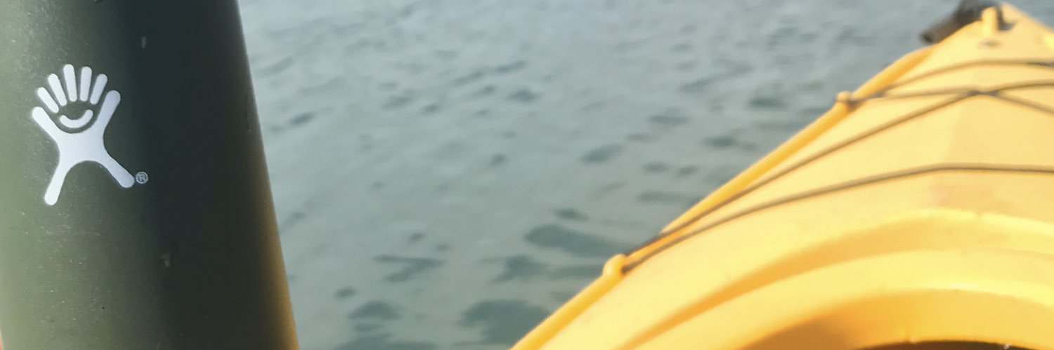 AbnormallyEmily's profile banner image