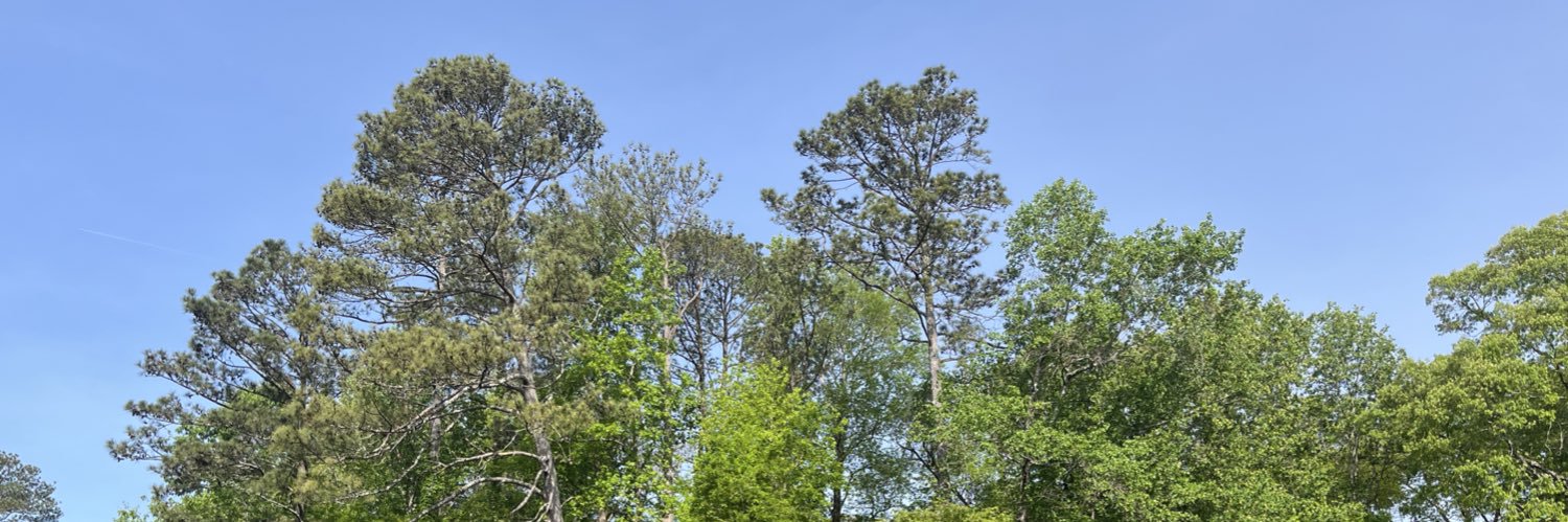 Laurie Wu banner