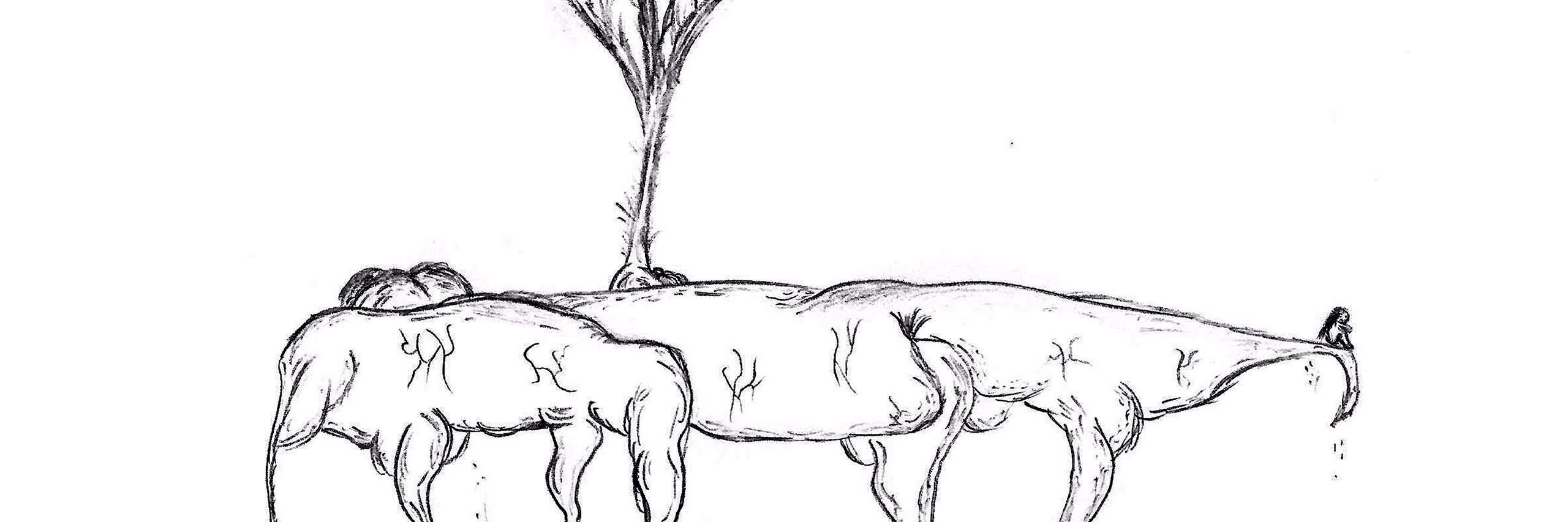 DeerGodBand's profile banner image