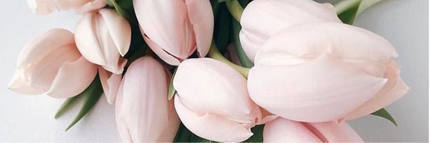 EmilyPomaski's profile banner image