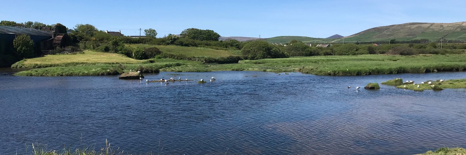 Sara O'Reilly banner