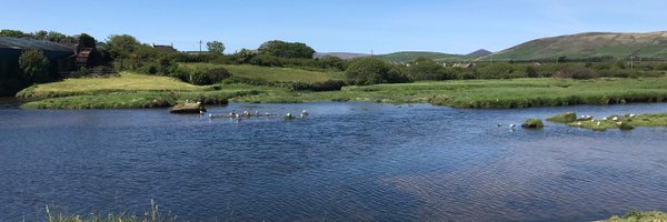 saraoreally Profile Banner