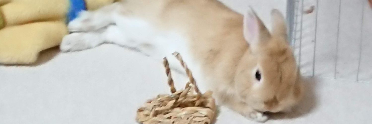 changmimi1's profile banner image