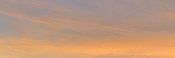 bubsthomas Profile Banner