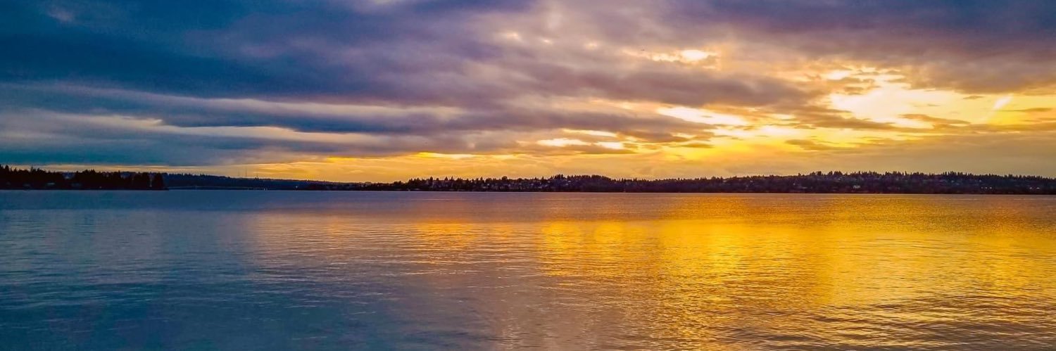 anniebp_'s profile banner image