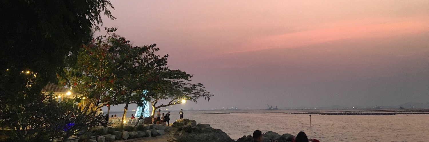 annechanap's profile banner image