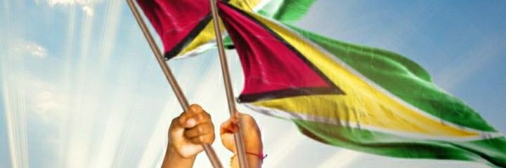 ThingsGuyanese's profile banner image