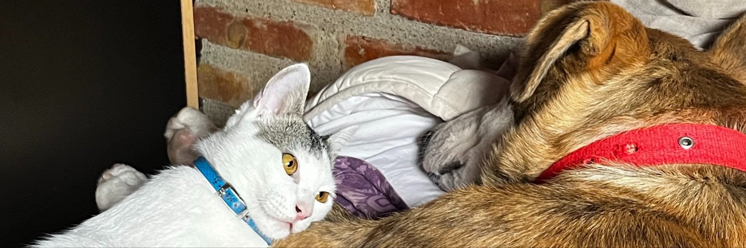 AntoStochetti's profile banner image